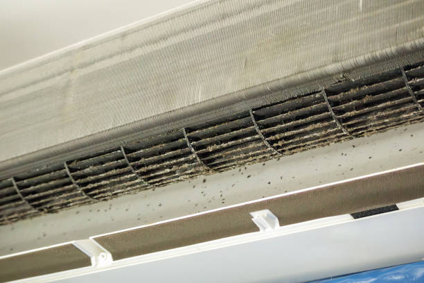 Best Local Air Duct Cleaning Services  in Wormleysburg, PA